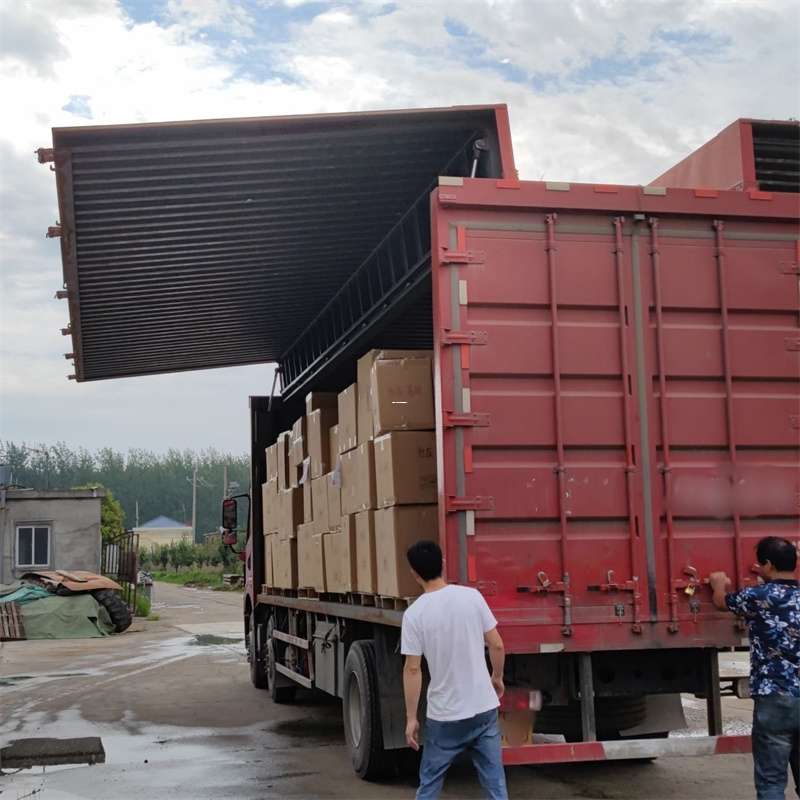 道县扎囊县：物流专线的高效货运之旅